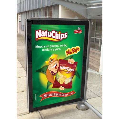 Design Natuchips